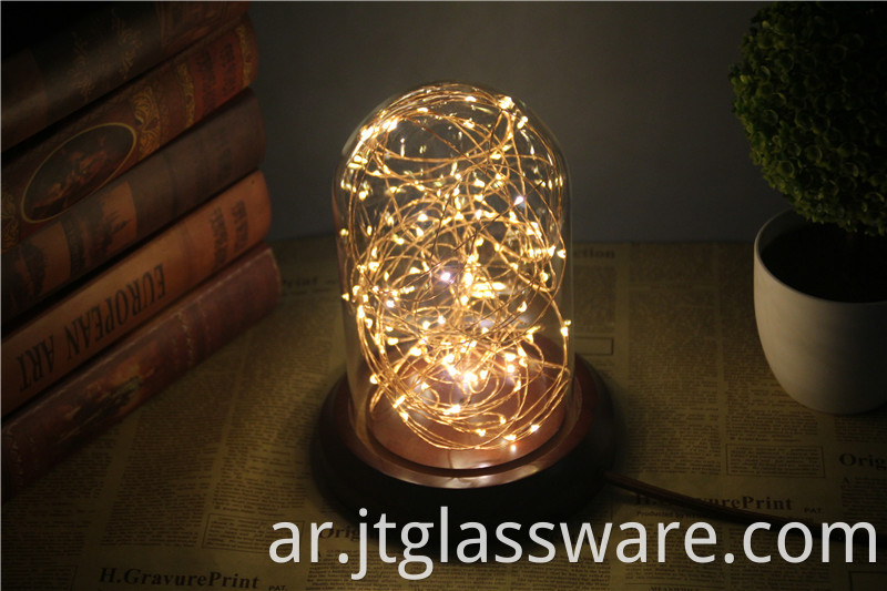 Glass Dome With LED Lights
